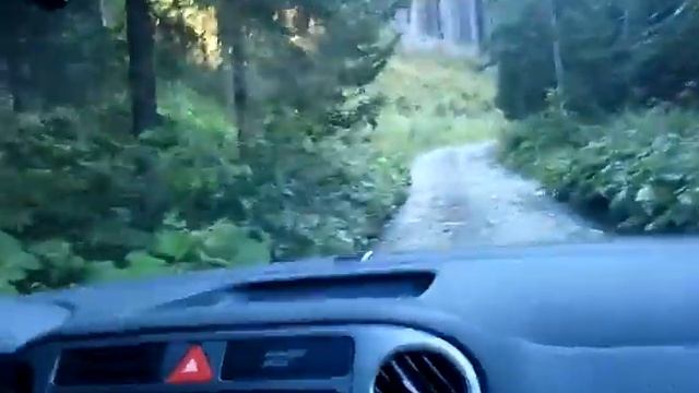 поездка в Карпаты,Тигуан 3 смотреть онлайн