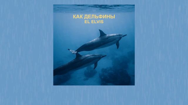Как дельфины - El Elvis (Lyric Video) смотреть онлайн