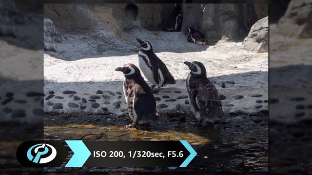 Olympus OM-D E-M10 II Product Overview смотреть онлайн