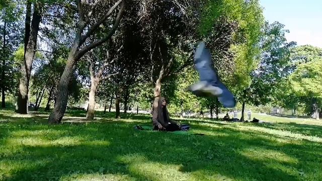 Чакральное дыхание: свадхистана смотреть онлайн