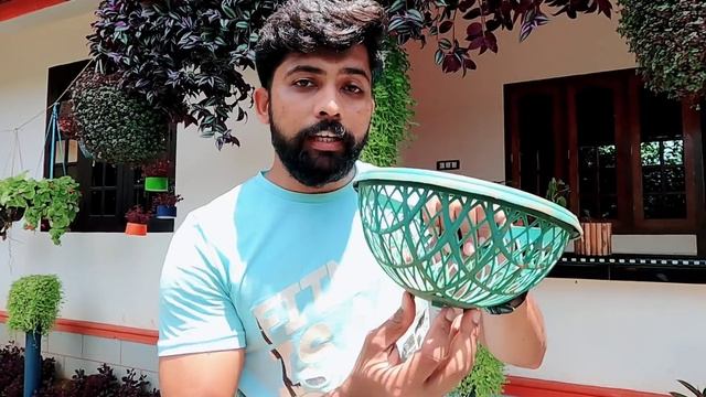 How to make callisia plant ball/ Turtlevine Ideas and tips/ how to grow turtle vine смотреть онлайн