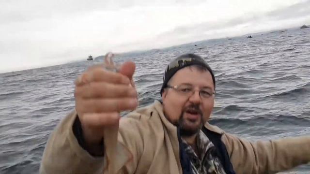 выход на кальмара 03.07.2021 смотреть онлайн