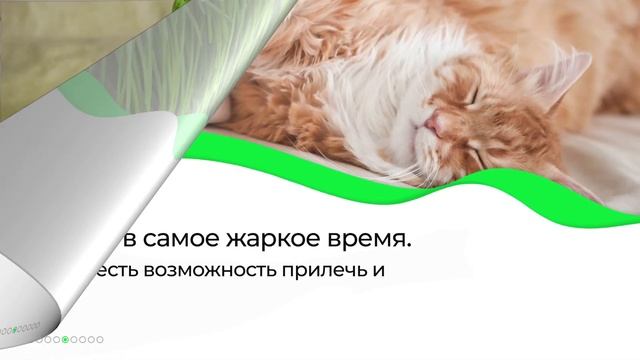 Как перенести жару? 7 советов на каждый день! - Отвечариум смотреть онлайн
