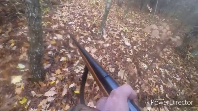 Зашёл в лес искать собаку, а вышел с добычей. #8 смотреть онлайн