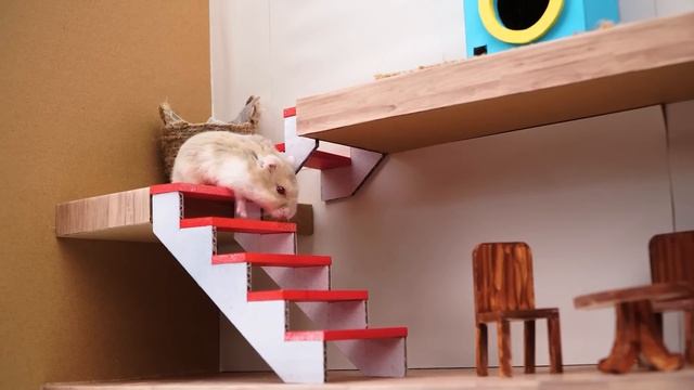 Hamster Escape Plants vs. Zombies Maze - Obstacle course! смотреть онлайн