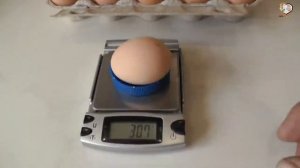 Природный мел для кур