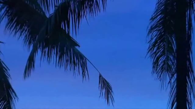 Новелла Матвеева Синее море смотреть онлайн