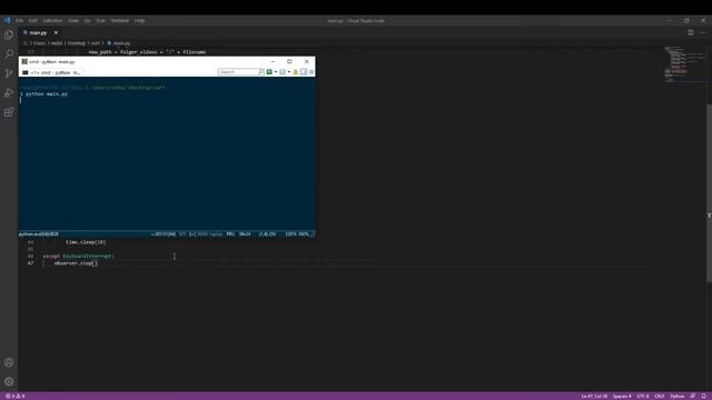 Автоматический сортировщик и архиватор файлов на Python смотреть онлайн