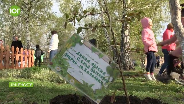 Зеленый день в детском саду смотреть онлайн