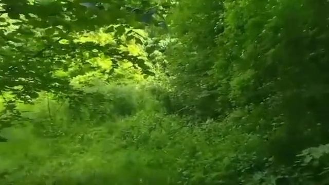 Близняшка жены и такое бывает. смотреть онлайн