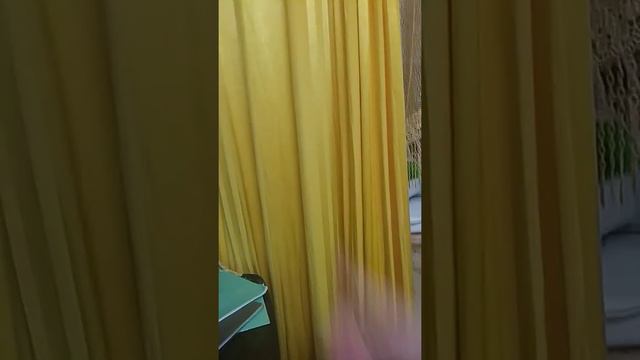 Обзоры на Гринча, Балбамби, человека паука, хроники хищных городов смотреть онлайн