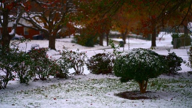 4k First Snowfall of the Season (Neighborhood Sounds fo Sleep) ASMR. смотреть онлайн
