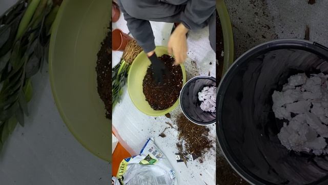 Чёрный доллар ҚАРА ДОЛЛАР смотреть онлайн