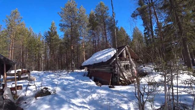 За "тигровыми" щуками на дальние озёра. Заброска день первый. Рыбалка смотреть онлайн