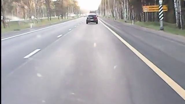 47news: кабан на мурманской трассе смотреть онлайн
