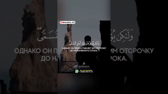 Коран Сура 16 «Пчёлы», аят 61.Чтец: Ахмад Х'адр смотреть онлайн