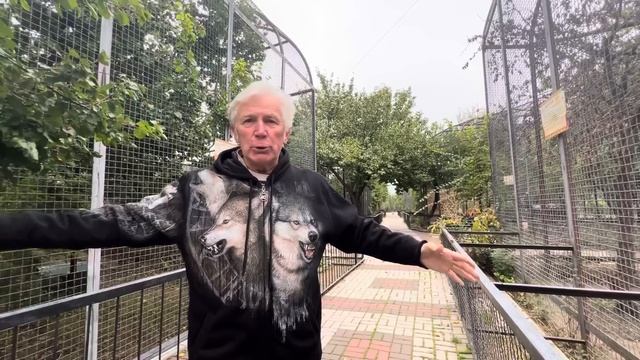 3 ДНЯ ДО СУДА! Николай Павленко о том, КТО виноват в ТРАВМЕ РЕБЁНКА и насколько прочна сетка !? смотреть онлайн