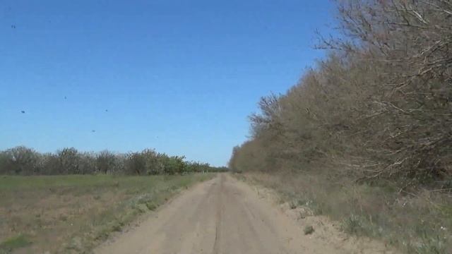 Рейс Охримовка - Шелюги. смотреть онлайн