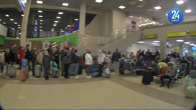 Рейсы в Египет из Сургута - известно расписание смотреть онлайн