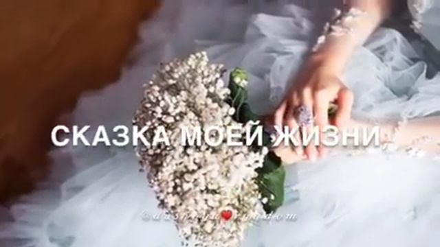 Лайк йилиш докх г1улкх дор аш(5) смотреть онлайн