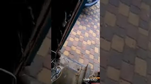 Ситроен Берлинго обломался щюп для проверки уровня масла!!! смотреть онлайн