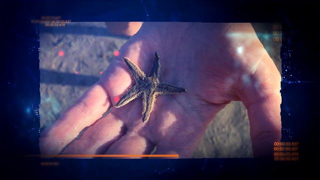 Авторский тренинг "Познай себя сам", Гоа, Морджим, Индия смотреть онлайн