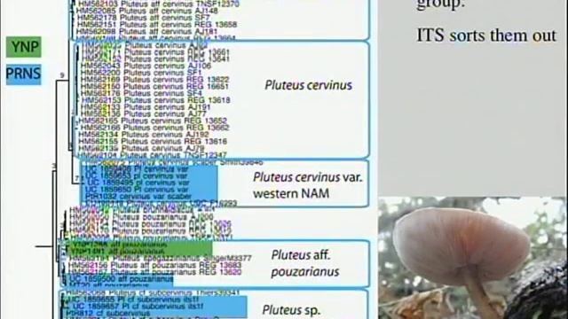Pt Reyes & Yosemite смотреть онлайн