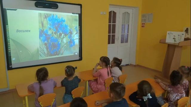 Символы Беларуси смотреть онлайн