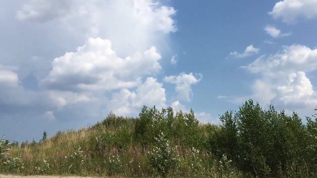 Той терьер играет с палкой на карьере смотреть онлайн