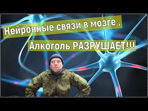 Нейронные связи в мозге, алкоголь РАЗРУШАЕТ!!! смотреть онлайн