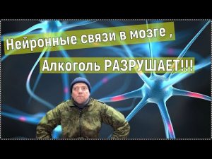 Нейронные связи в мозге, алкоголь РАЗРУШАЕТ!!!
