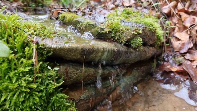 Весенний родничок, живой звук, Spring spring, live sound #meditation #relaxation #медитация #релакс смотреть онлайн