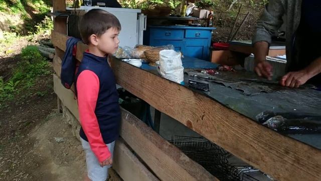 Ребенок в ШОКЕ - увидел как разделывают живую рыбу смотреть онлайн