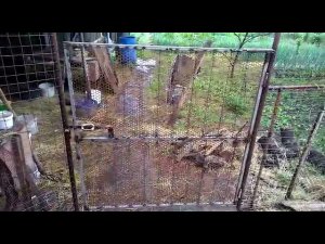 Калитка с двойным открыванием. Простая и бюджетная!!!