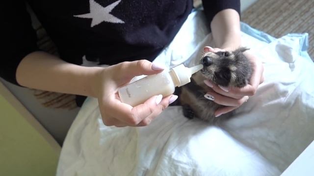 Лимон заболел смотреть онлайн