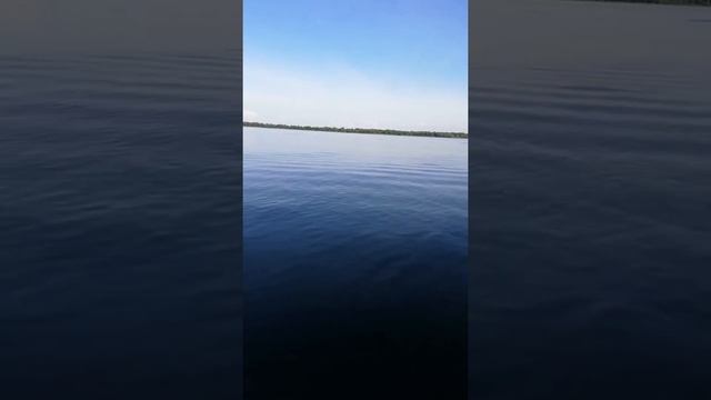 Посторонний шум мотора хайди 9.8 Обкатка. смотреть онлайн