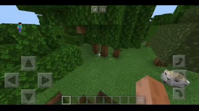 Как стать Наблюдателем в Minecraft PE ? | Sector
