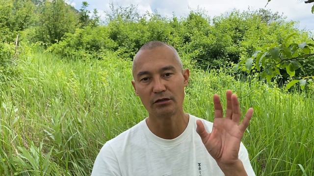 Ум, его состояния и как он влияет на физиологическое и эмоциональное здоровье смотреть онлайн