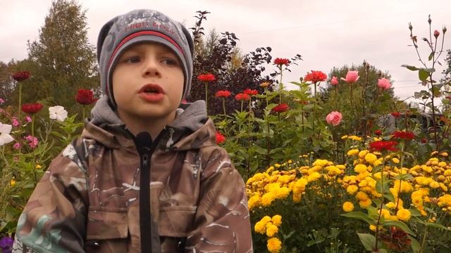 Александр Рушников 3а класс 21 школа г Вологда читает И А Бунина Полевые цветы смотреть онлайн