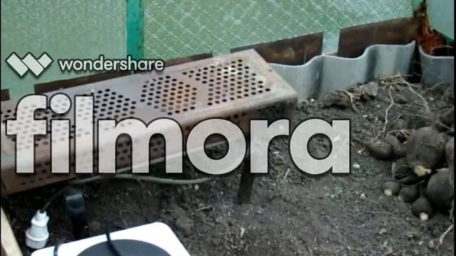 Вне сезонное использование теплиц/Сельское подворье на Урале