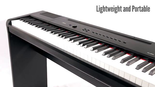 Artesia PA 88H Hammer Action 88 Key Portable Digital Piano смотреть онлайн