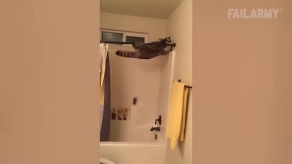 Fails You Missed： Didn't See That Coming ｜ FailArmy