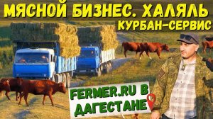 Калмыцкий скот на летних пастбищах. Заготовка сена в горах. Проплывая яма для КРС. Халяльный бизнес