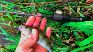 Что за ЗВЕРЬ ТАКОЙ Nautilus ANT? Мормышинг на Новый спиннинг Рыбалка на спиннинг