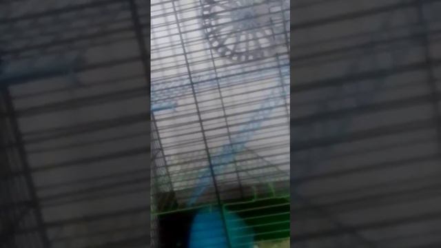 YouCut_20240405_171059025.mp4