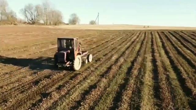 Весенняя прополка клубники смотреть онлайн