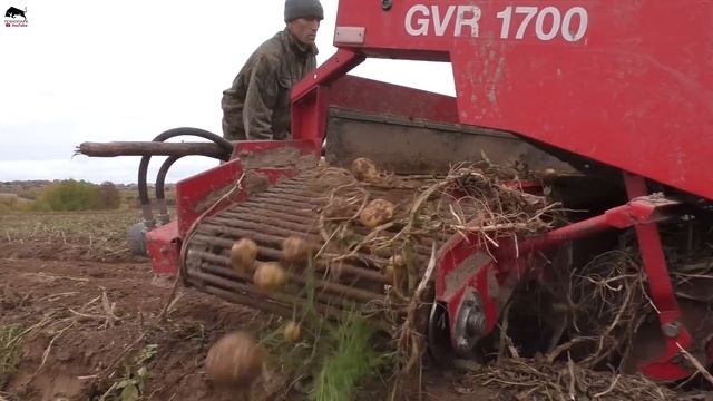 Такую ТЕХНИКУ вы точно НЕ ВИДЕЛИ! На уборке картофеля Grimme EVO 290, Grimme SF 150-60. смотреть онлайн