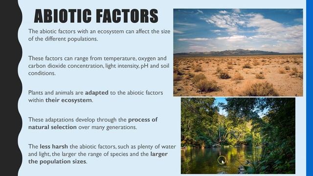 POPULATIONS: Abiotic and Biotic factors A-level Biology. Competition and predator-prey relationship смотреть онлайн