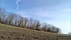 охота на зайца 2024