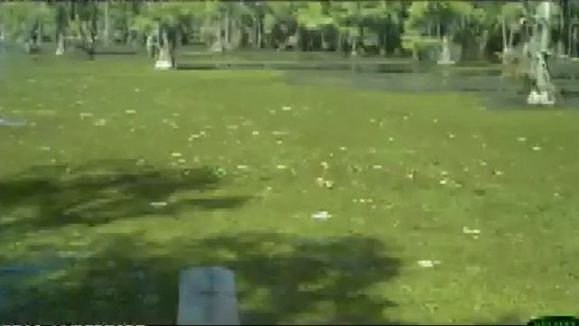 LAKE PALESTINE SALVINIA FOX PKG KETKb3b8 140 смотреть онлайн